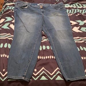 Size 24r torrid jeans jegging